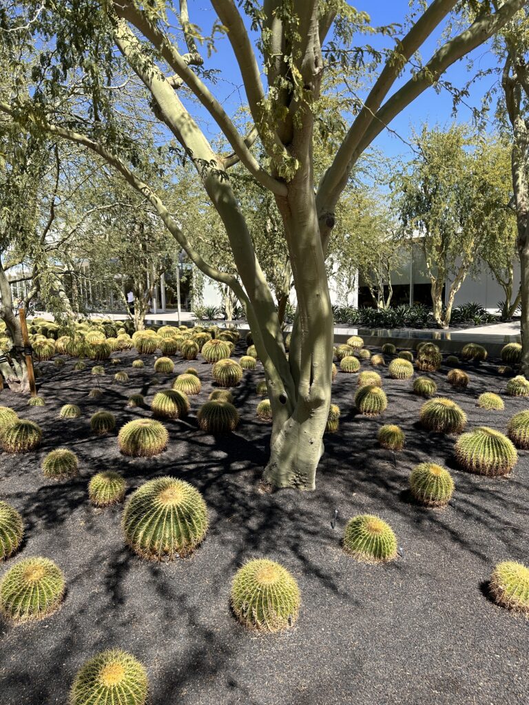 Sunnylands Center &amp; Gardens gallery image 3
