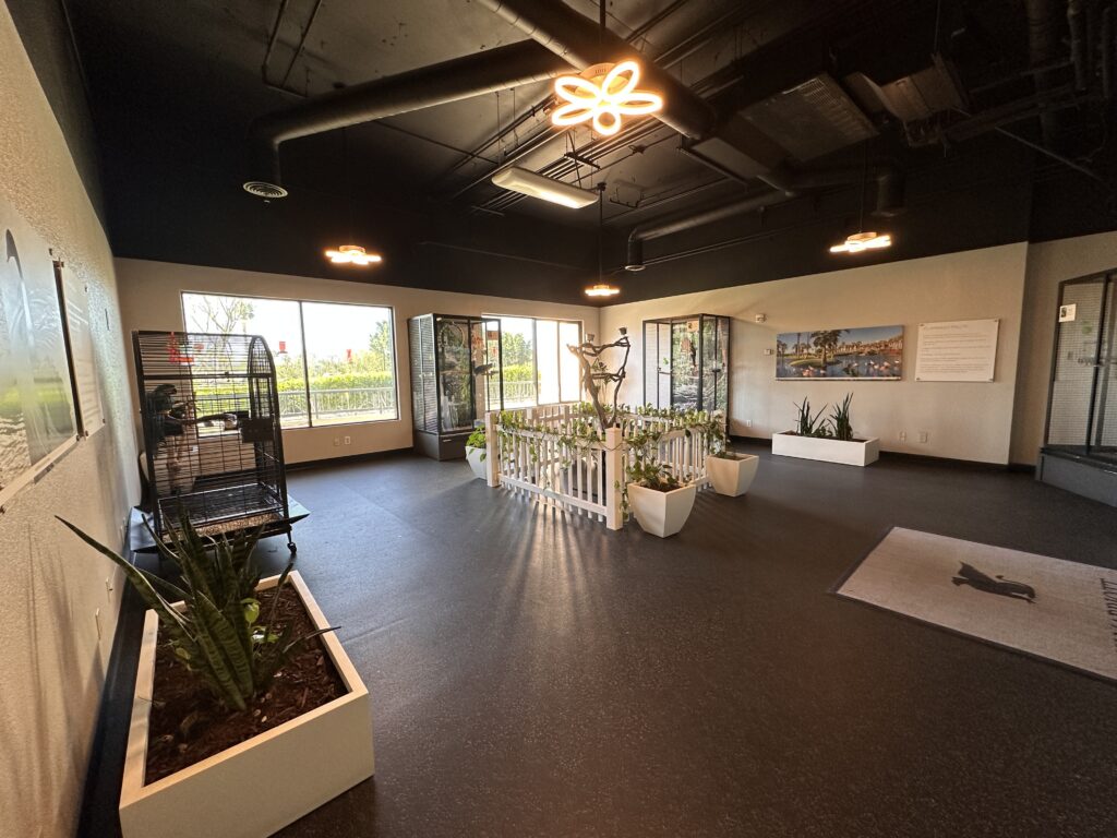 Jw Marriott Desert Springs Resort gallery image 6