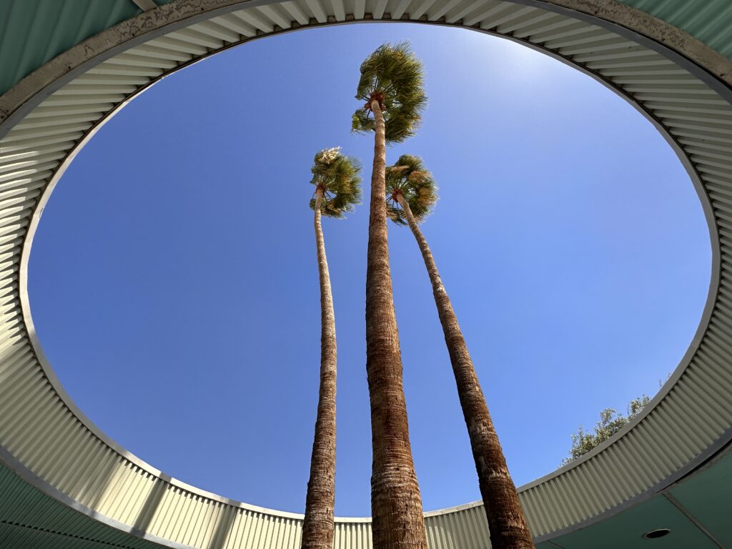Palm Springs City Hall gallery image 3