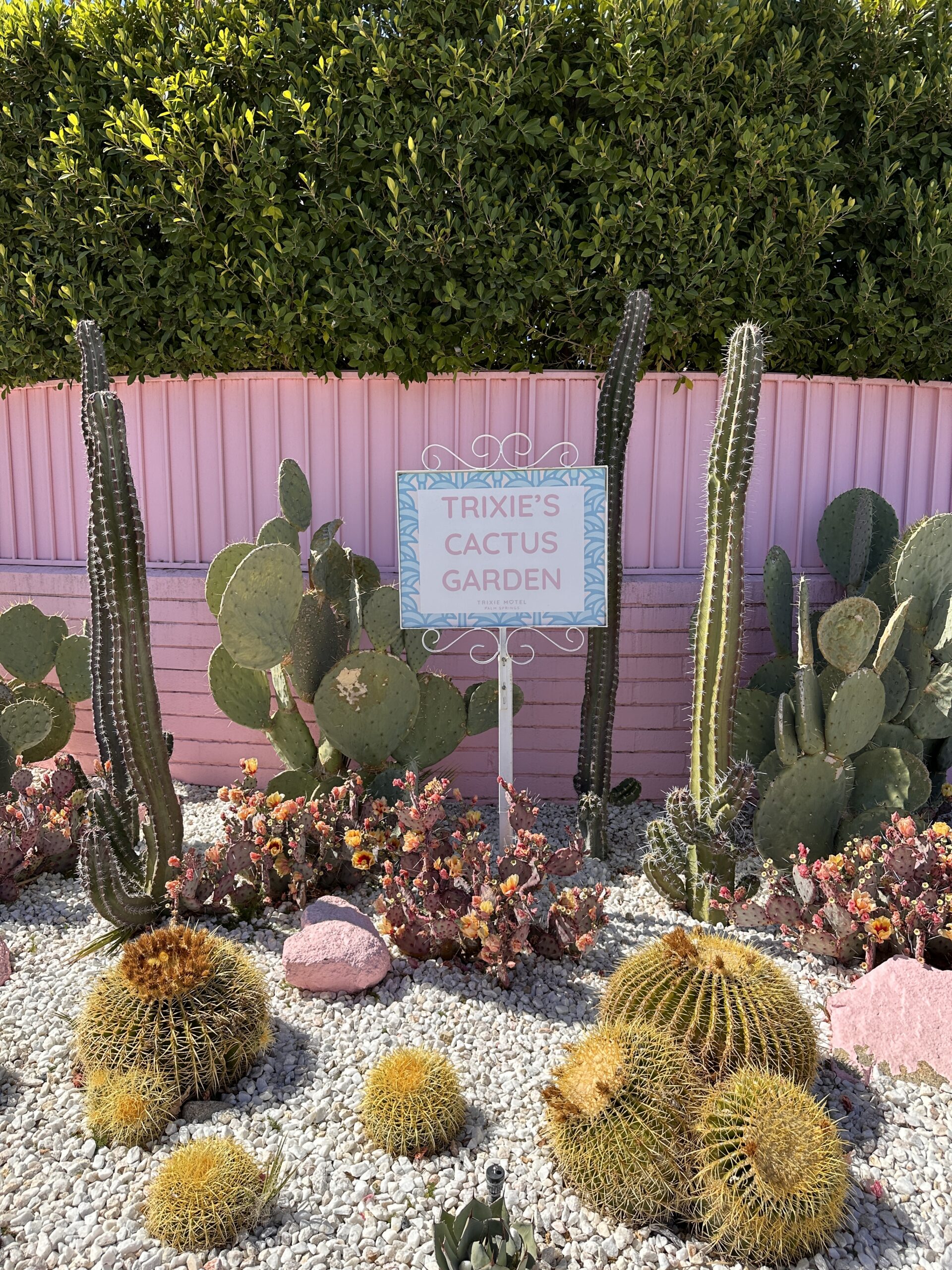 Trixie Motel gallery image 25
