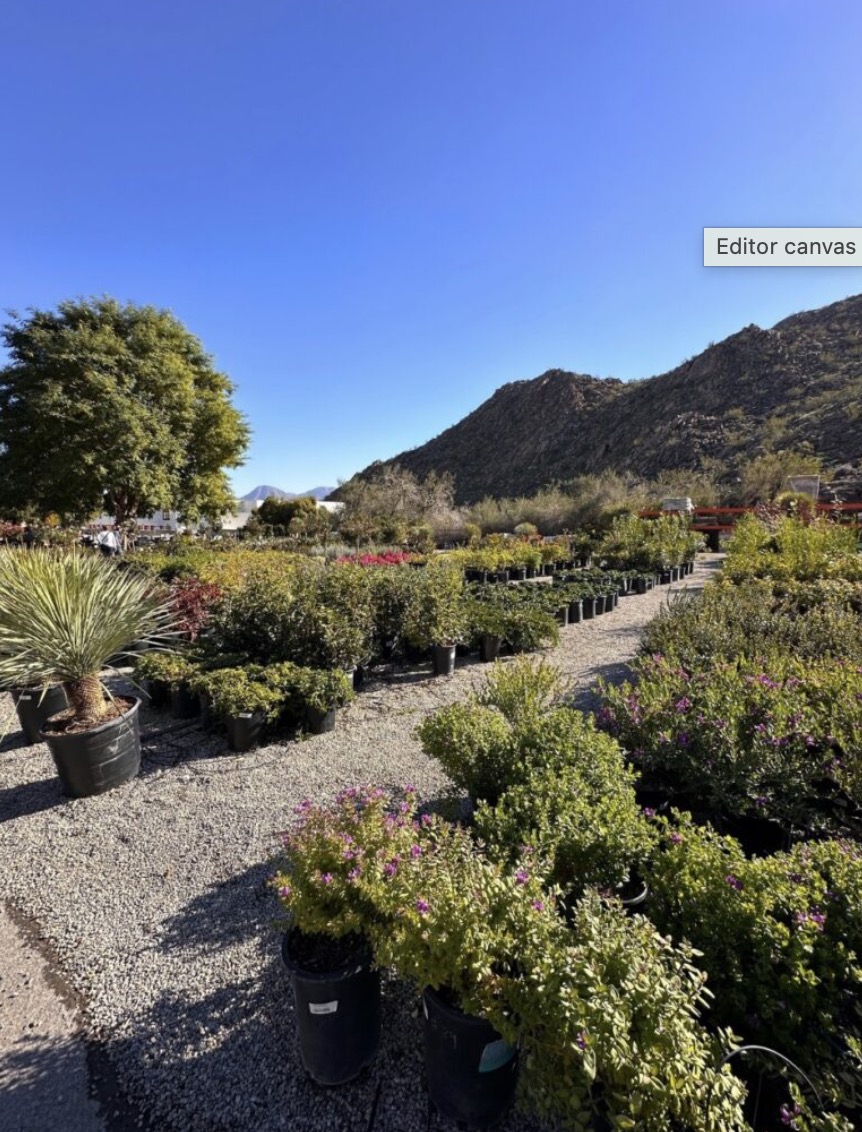 Moller’s Garden Center