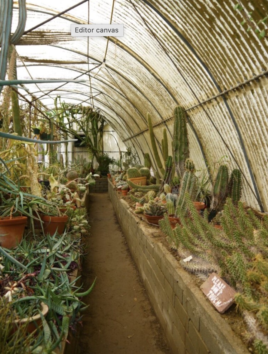 Moorten Botanical Garden