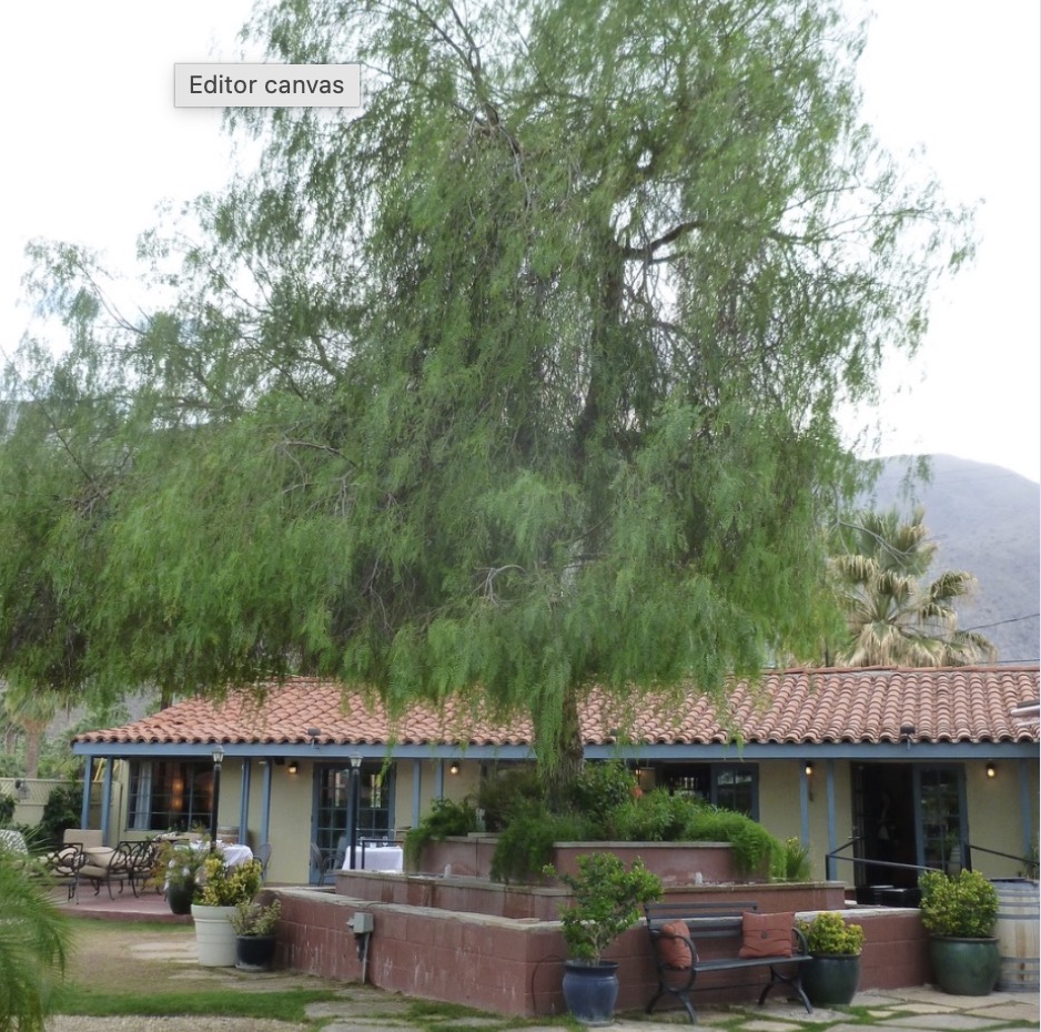 Copley’s On Palm Canyon