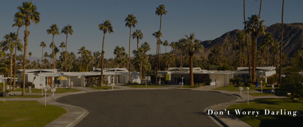 “Don’t Worry Darling” House gallery image 6