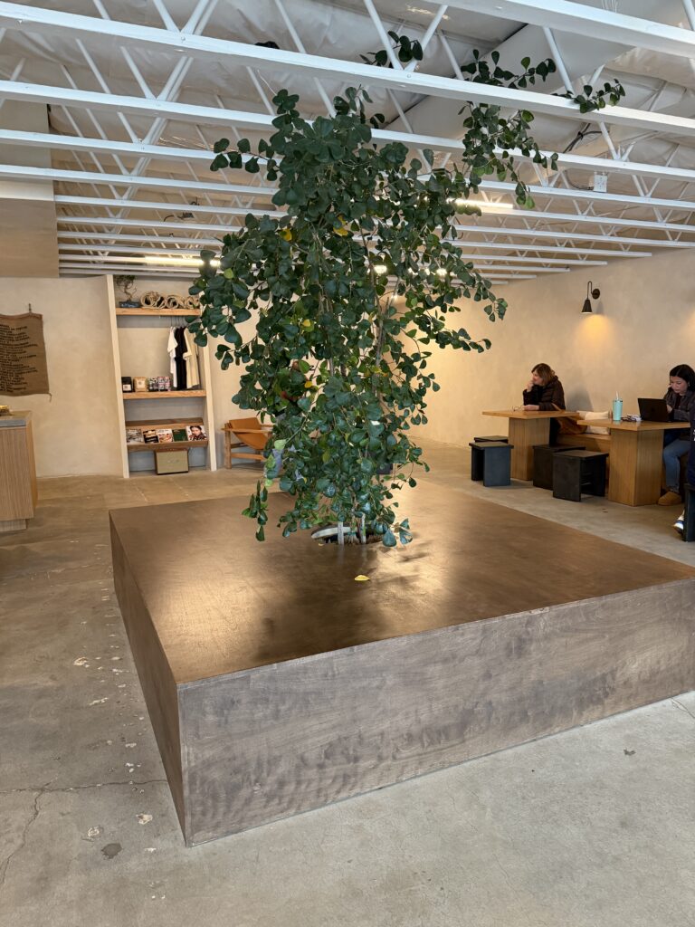 Rutina gallery image 5