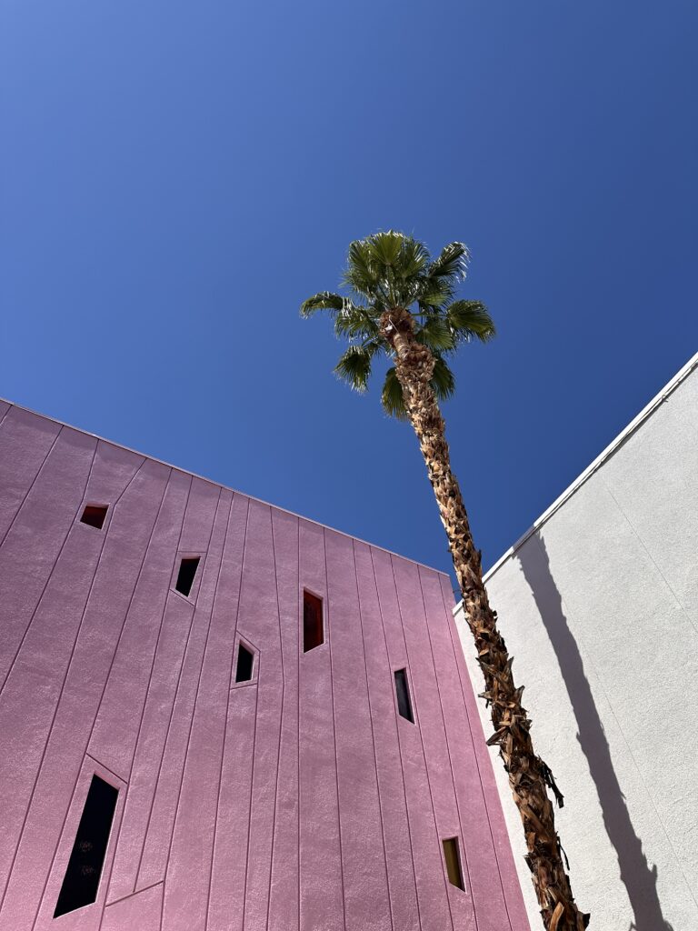 The Saguaro gallery image 3